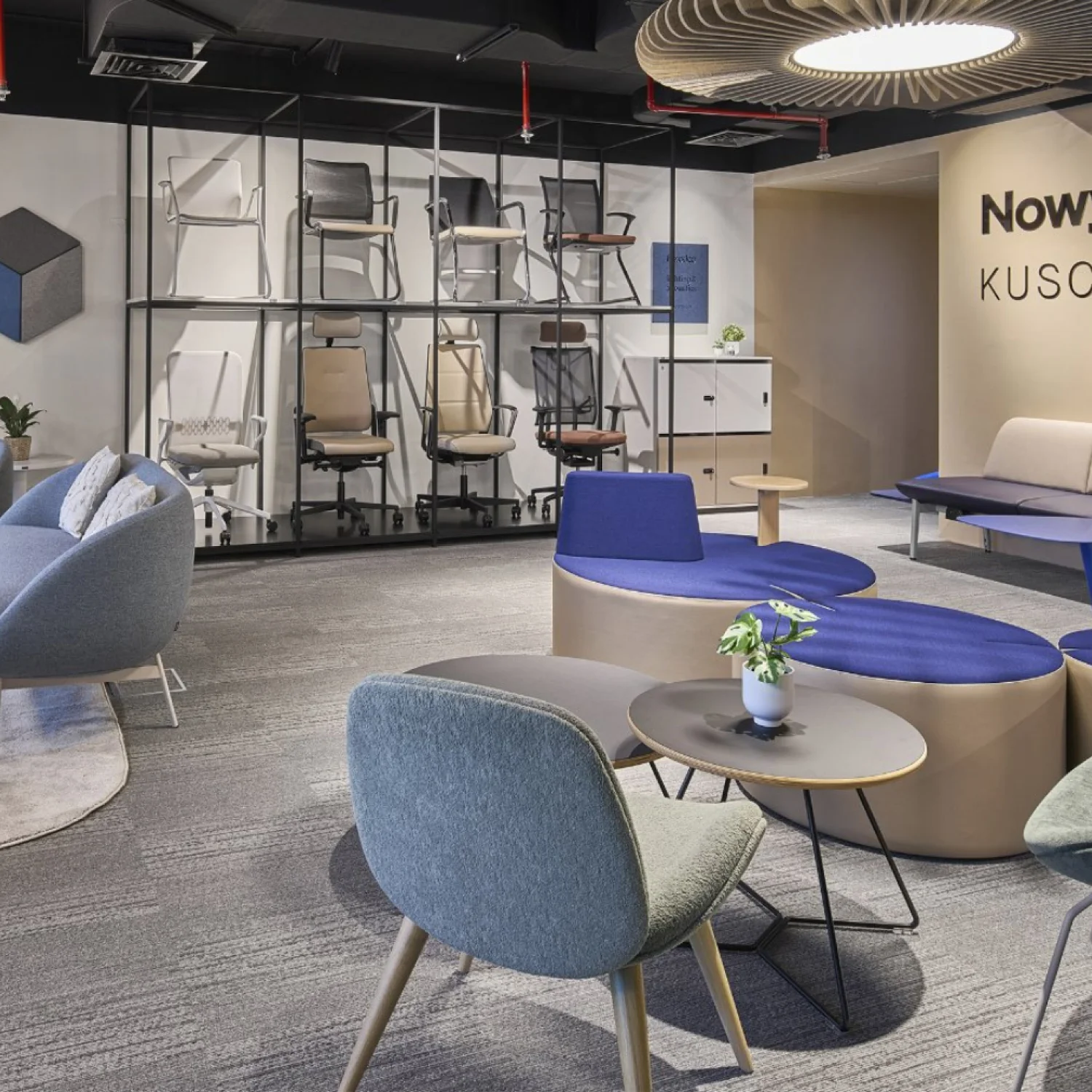 flexxica acoustic innovation meets design elegance at the Nowy Styl Showroom